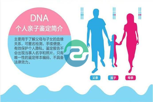 完整的中山親子鑒定指南，可以在家里進行！