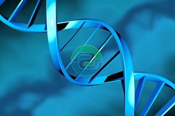 私下做個中山親子鑒定應(yīng)該在哪里做？會不會很麻煩？