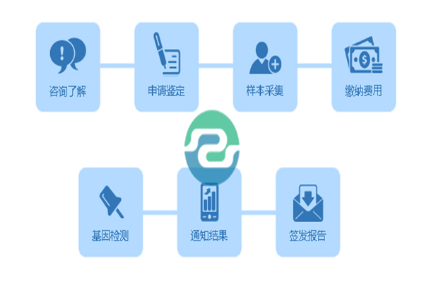 中山親子鑒定需要哪些信息？