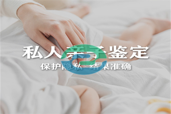 中山上戶口親子鑒定需要些什么東西？