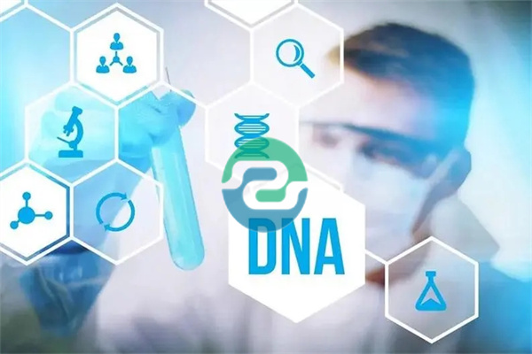 如何找到正規的中山親子鑒定中心呢？