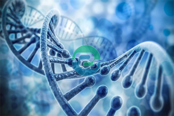 做中山親子鑒定（上戶口用）要帶哪些相關證件？