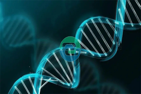 中山親子鑒定需要什么: 親子鑒定基本材料清單