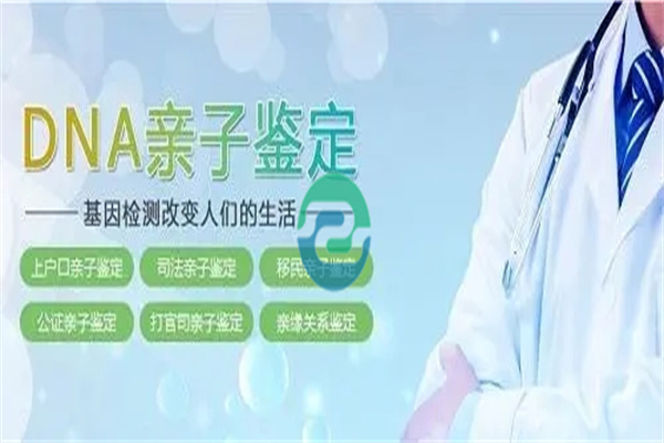 中山親子鑒定分兩種，材料差別很大！