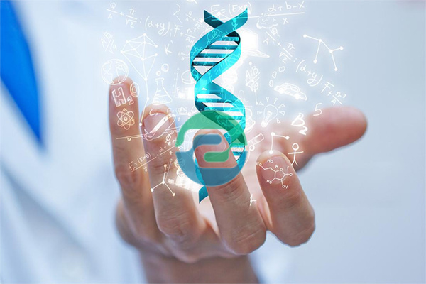 我怎么知道孩子是不是親生的？中山親子鑒定的意義！