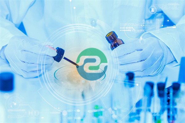 期真的可以做中山親子鑒定嗎？最早什么時候可以做？