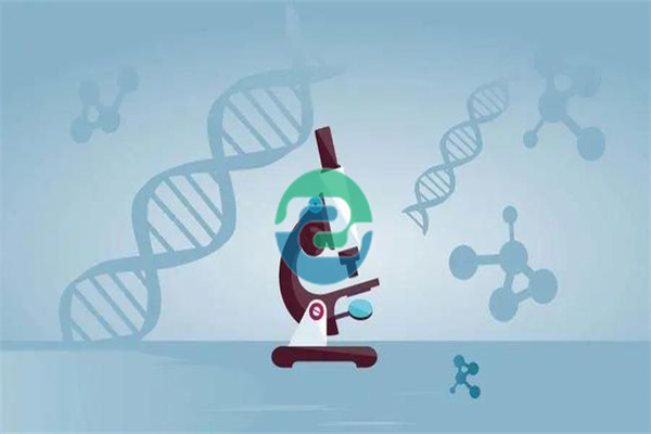 中山異地親子鑒定終極指南，這3種方法最靠譜