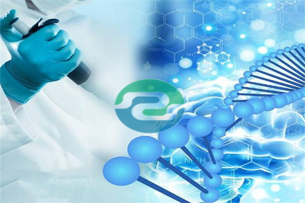 中山DNA親子鑒定應該為未出生的孩子做些什么？