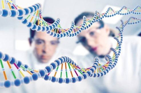 試管嬰兒可以做中山親子鑒定嗎？