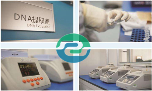 中山親子鑒定根據(jù)類型不同需要的材料也不一樣！