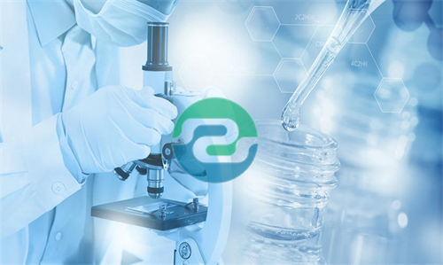 中山親子鑒定需要什么證明？哪里有正規(guī)親子鑒定機構(gòu)？