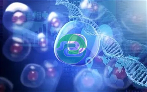 中山隱私親子鑒定與中山司法親子鑒定的區別