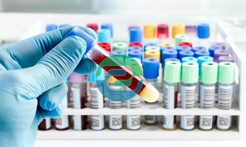 中山親子鑒定要多少錢？