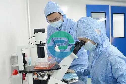 2025年辦理中山親子鑒定家長應該注意什么！