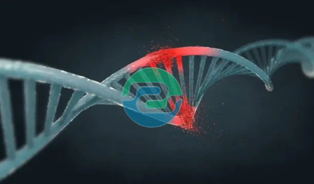 關(guān)于2025年中山戶籍親子鑒定過程: 三步走不走錯(cuò)路