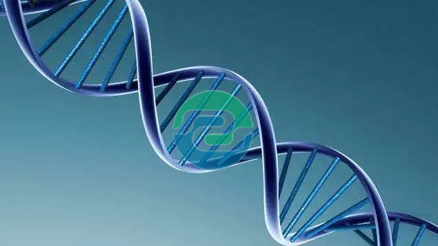 中山親子鑒定的價格不是固定的？盛澤基因