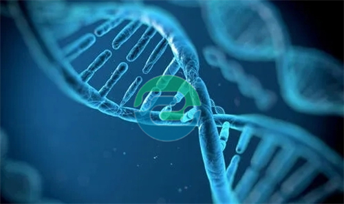 中山司法親子鑒定的用途、注意事項及其在維護家庭和諧和社會公正中的作用