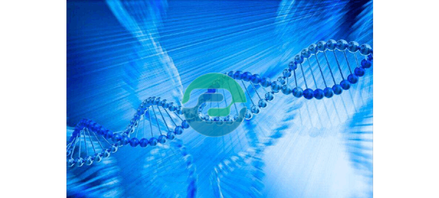 懷孕多長時間可以進行中山DNA親子鑒定？