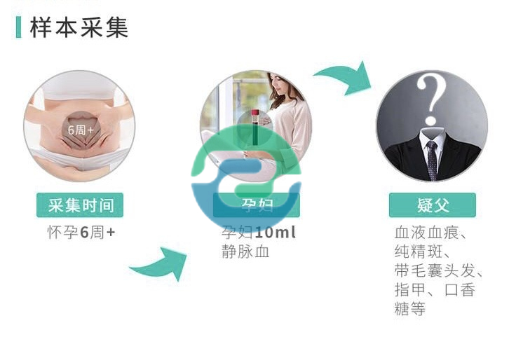 中山親子鑒定樣本《三個火槍手》，你選哪個？