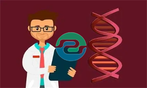 中山私人親子鑒定價格，中山匿名親子鑒定怎么辦？