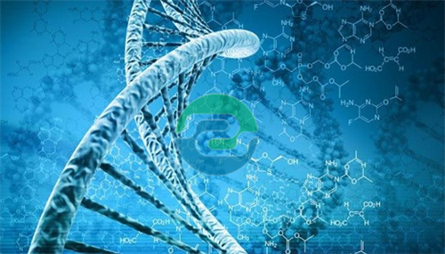 中山親子鑒定是否需要女方的同意？