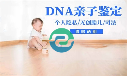 中山親子鑒定中心在哪？大概收費多少？